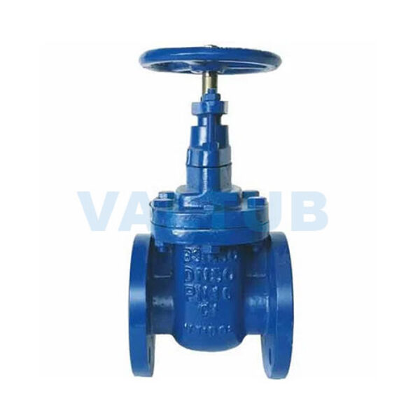 PN25 BS5163 Resilient Gate Valve