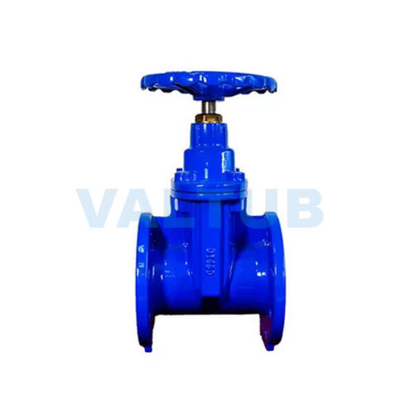 BS5163 Resilient Gate Valve with Brass Nut