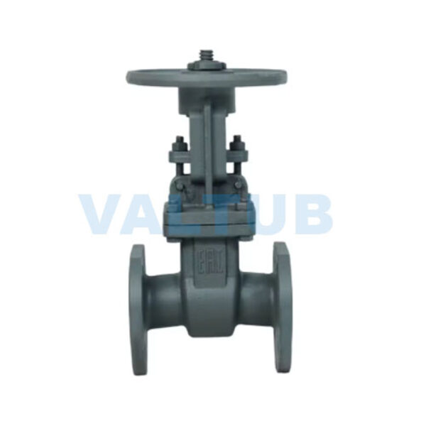 GOST Gate Valve